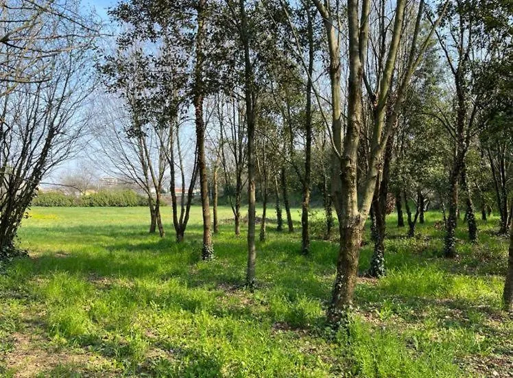 Green Woods Verona 0*,