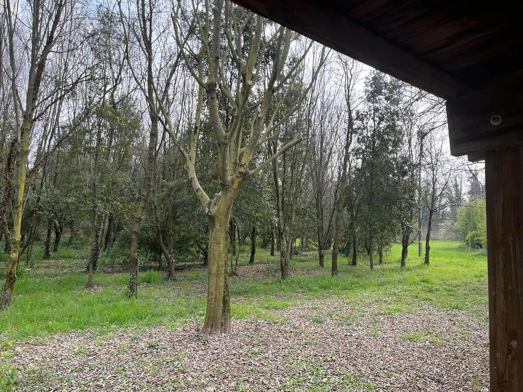 Green Woods Verona
